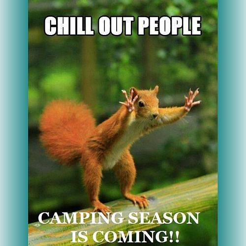 Click image for larger version

Name:	chill out camping squirrel.JPG
Views:	33
Size:	161.0 KB
ID:	1150