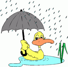 Rain Ducker's Avatar