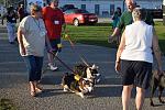 The Pet Parade