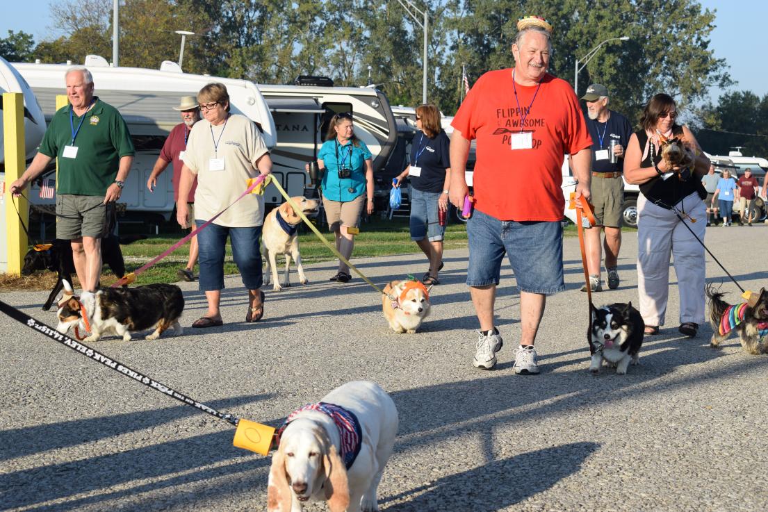 The Pet Parade