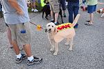 The Pet Parade