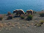 The Alaskan Highway, YT