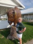 The Bison at the Fairgrounds