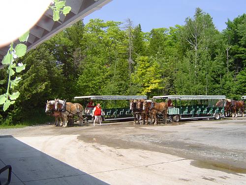 Click image for larger version

Name:	16 MI Mackinac IS - 1+ (25).jpg
Views:	77
Size:	326.5 KB
ID:	8323