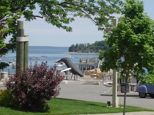 Click image for larger version

Name:	18 Bar Harbor & Whale Watching (9).jpg
Views:	80
Size:	304.2 KB
ID:	8447