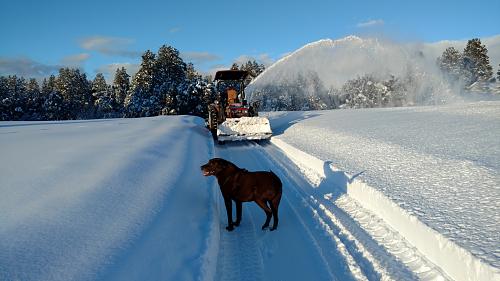 Click image for larger version

Name:	Kodiak & Snow blower -2.jpg
Views:	30
Size:	865.8 KB
ID:	2946