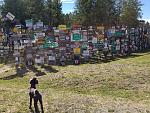 Sign Post Forest, Watson Lake, Yukon