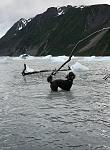 Katchemack Bay SP, across from Homer, AK