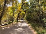 Arizona high country fall colors